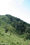 Deforested park boundary of Bwindi