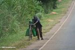 Man carrying petrol on his bicycle