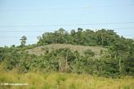 Deforestation along the road in Uganda