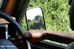 Elephants in the rearview mirror