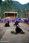 Gorilla dance performed by Bwindi orphans