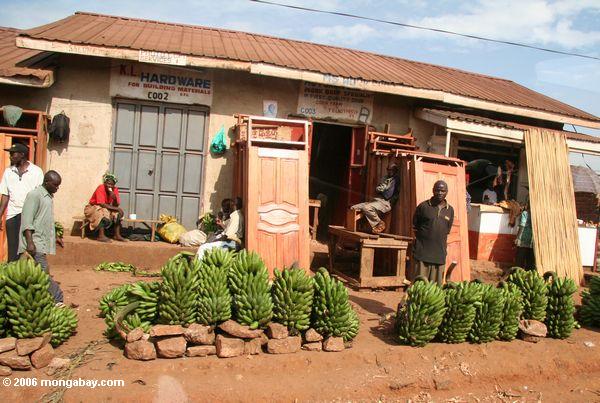 бананы на продажу вдоль дороги в Кампала