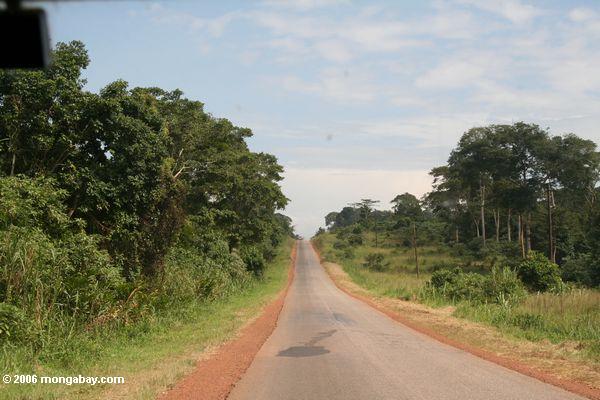 Landstraße in der Uganda