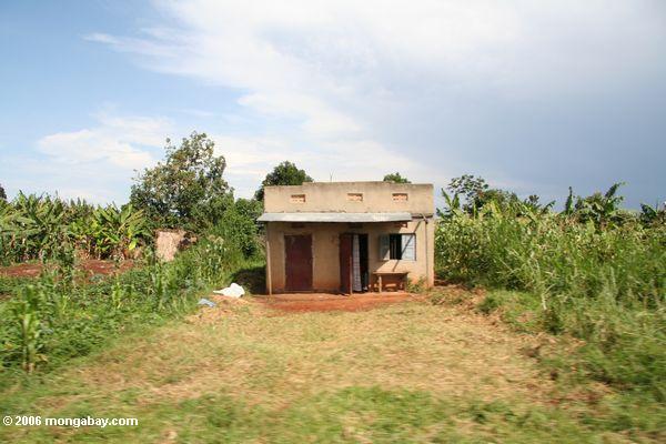 типичные дома в сельских районах Уганды