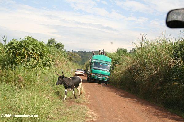 движения по сельской дороге угандийских