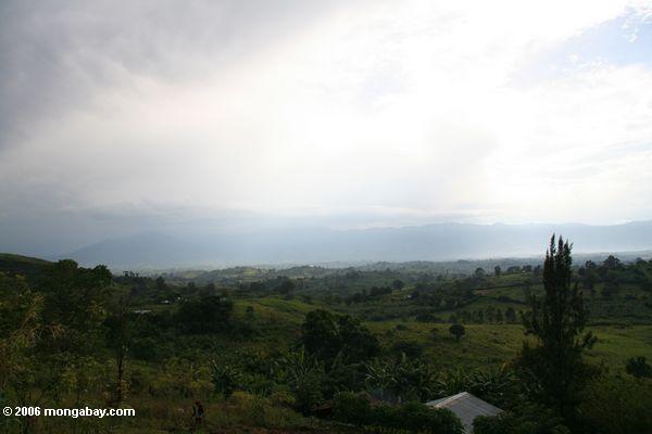 Угандийские сельской местности с горы Рвензори в фоновом