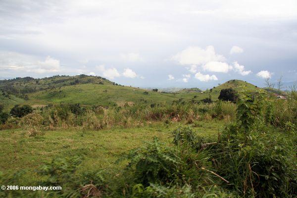 обезлесения в Уганде