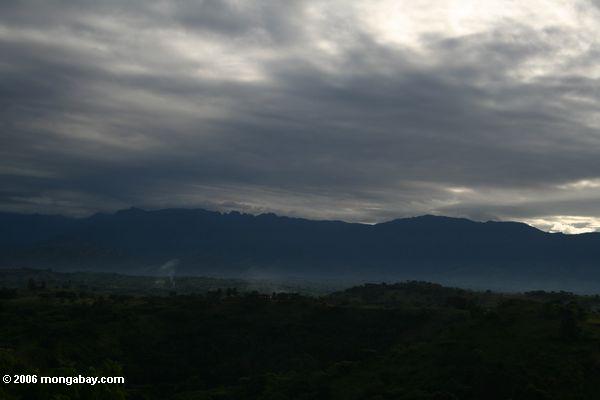 Betrachten der Rwenzori Berge