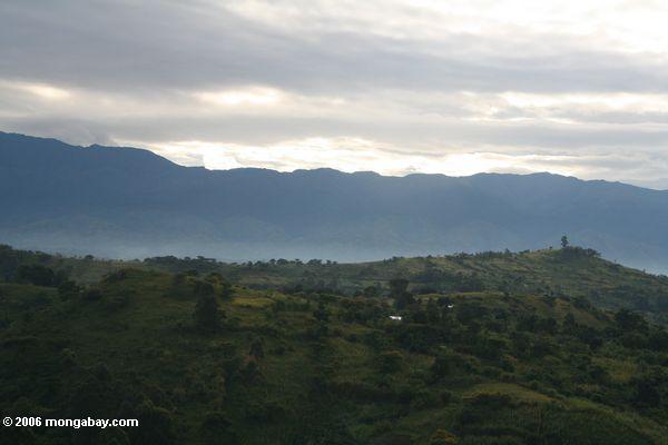 Ansicht der Rwenzori Berg
