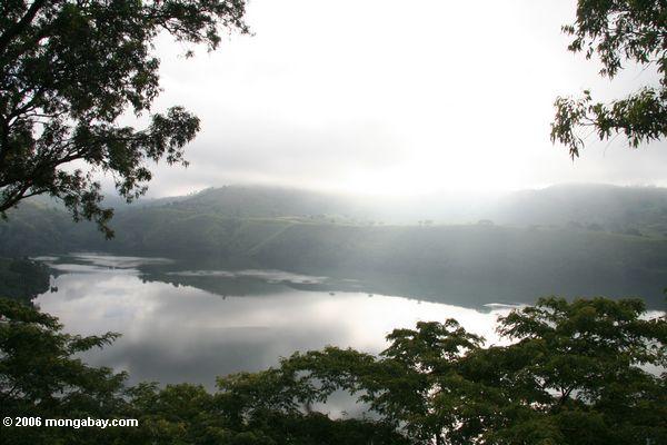 Туманное утро над озером nyinambuga