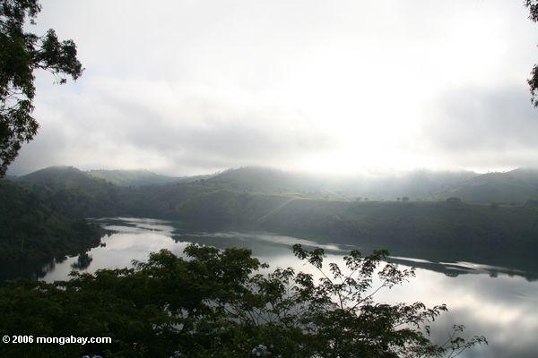 утром туман над озером nyinambuga