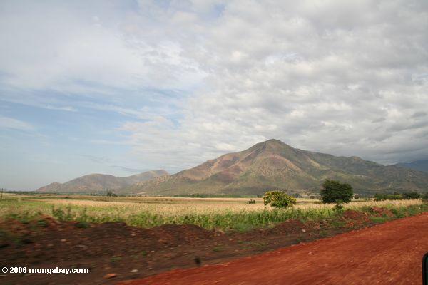ウガンダ西部の山の近くkasese