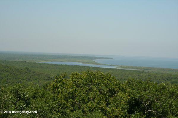 maramagambo лес и озеро Эдвард