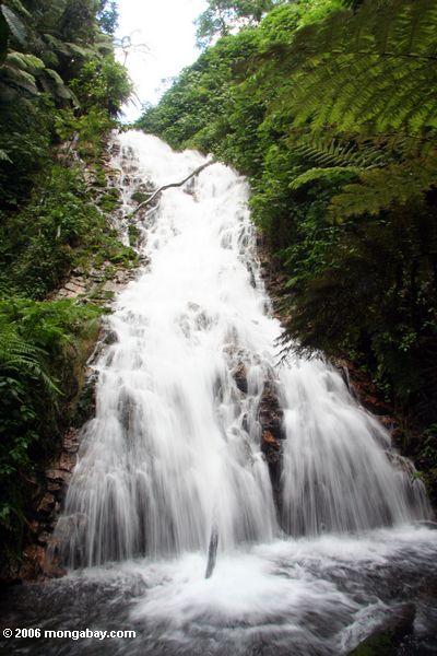 100-футовый водопад в Бвинди