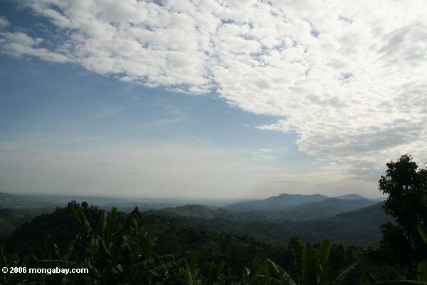Hügel nahe Bwindi