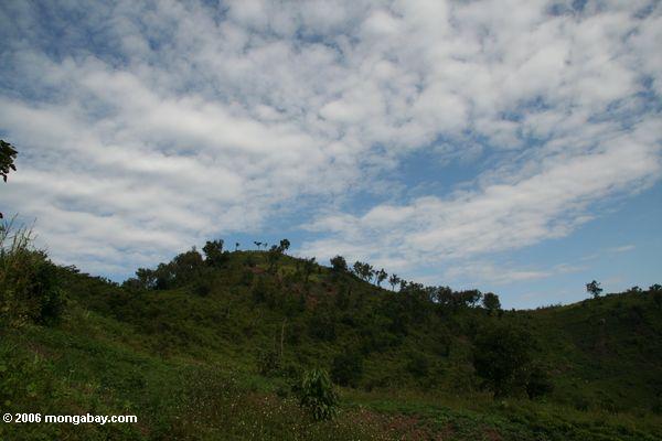 Entwaldete Hügel nahe Bwindi
