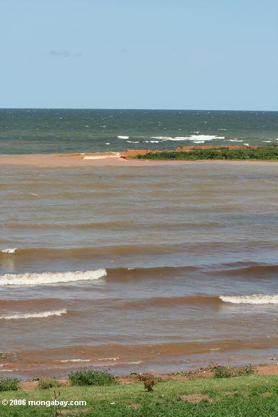 Волны поднимать отложений в озере Виктория
