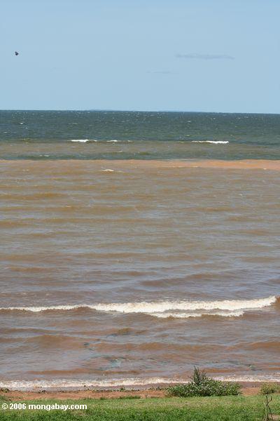 Преодолевая волны на озере Виктория пляж