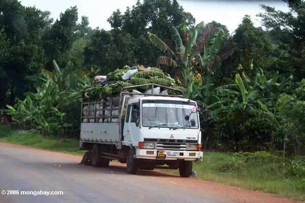 Banane LKW in Uganda