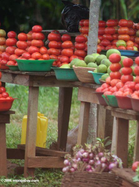помидоры укладываются в придорожных fruitstand