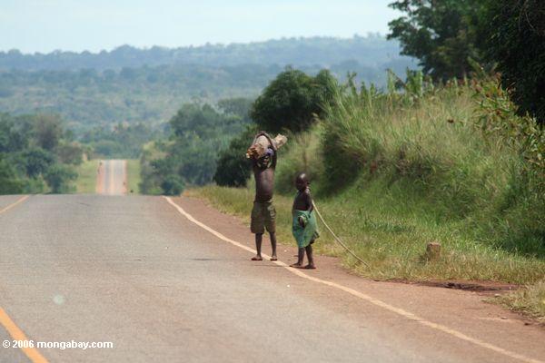 Zicklein entlang einer Landstraße in Uganda