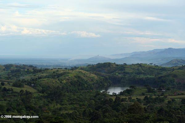 Rwenzori Landschaft