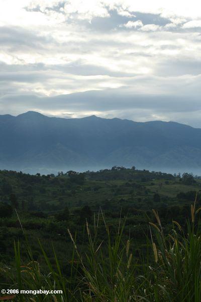 Das Ackerland, das vor dem Rwenzori Berg liegt, erstreckt sich in der Portalregion