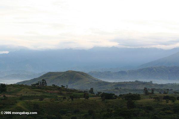 Westuganda, in Richtung zur Rwenzoris