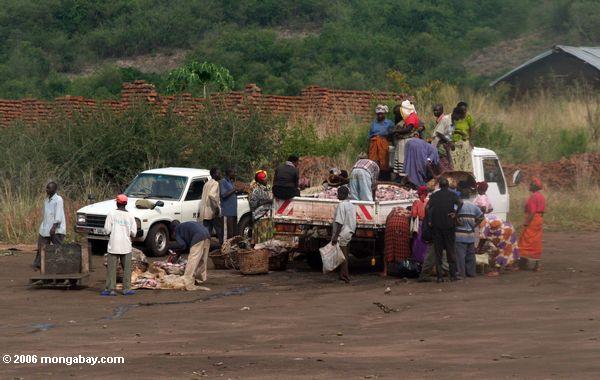 грузовик рыбного рынка - пикап доставлять рыбу в Уганде