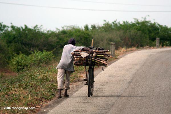 Eine Last der Stöcke auf seiner Fahrrad Kasese Region in Richtung
