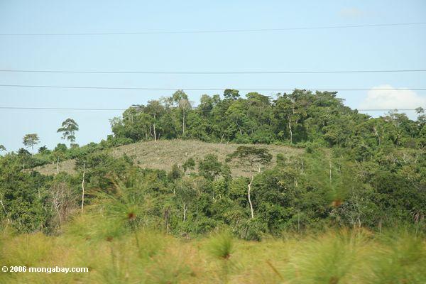 обезлесения в Уганде