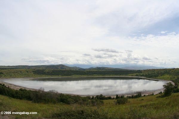 Vista Panoramic do lago Kyemengo, um lago da cratera em Uganda ocidental