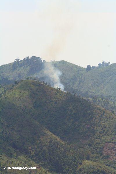 Landwirtschaftliche Feuer gerechte äußere Bwindi Parkgrenze