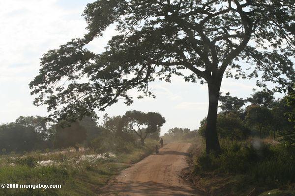 ウガンダでは未舗装の道路