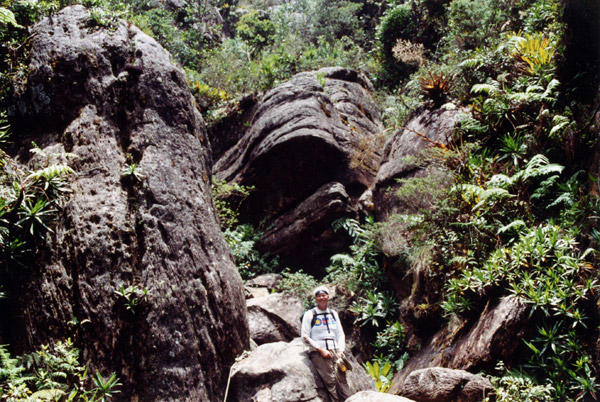 Hiker na fuga ao summit de Auyantepui