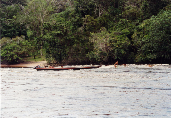 Canoes de dugout de Portaging no Rio Carrao
