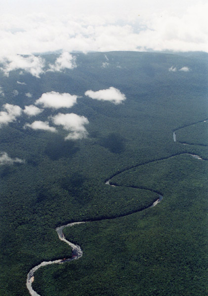 Vue aérienne de Rio Carrao au Venezuela