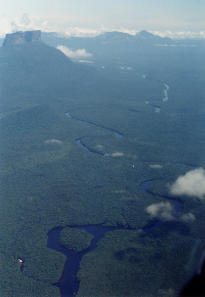 Opinión del aeroplano de un río y de un tepui más rainforest de Venezuela
