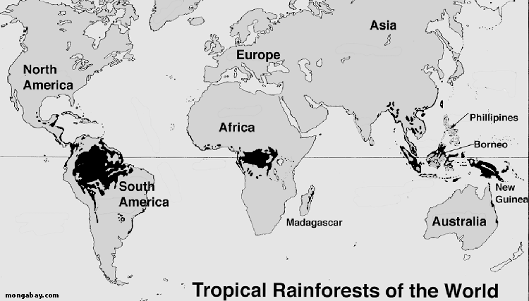 Tropical Rainforests of the World (Ch. 1)