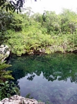 Cenote Cancun, Mexican Riviera, Mexico