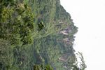 Limestone gunung tertutup di hutan (Jawa)