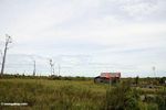 Abandoned wisma di dataran gundul di luar Taman Nasional Tanjung Puting (Kalimantan, Borneo (Borneo Indonesia))