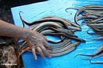 Memilih eeel tepat pada pasar ikan di Rantepao (Toraja Land (Tana Toraja), Sulawesi)