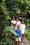 Anak-anak di Tikala (Toraja Land (Tana Toraja), Sulawesi)