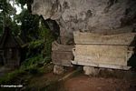 Batu peti mati di Ketu Kese (Toraja Land (Tana Toraja), Sulawesi)