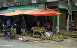 Durian buah untuk dijual di Sengkang (Sulawesi (Celebes))