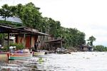 Riverside huts along river draining Lake Tempe (Sulawesi (Celebes))
