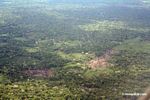 Overhead view of deforestation in the Amazon