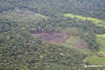 Aerial view of rainforest cleared  for  agriculture