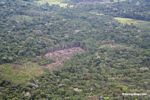 Aerial view of sections of rain forest felled for subsistence agriculture